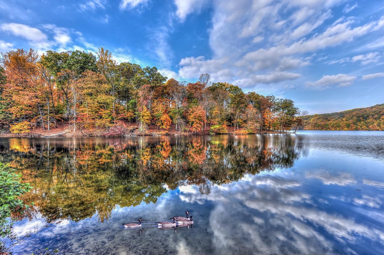 Vibrant fall trees and a bright blue sky with puffy white clouds reflected on the water at Loch Raven Reservoir